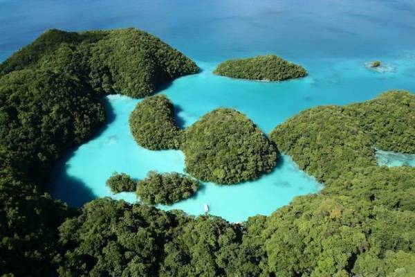 🇳🇱 TARIFA ERROR: VUELOS A PALAU POR 278 EUROS DESDE AMSTERDAM