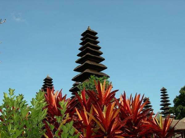 🇳🇱 TARIFA ERROR: VUELOS A BALI POR 292 EUROS DESDE AMSTERDAM