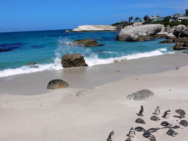 🇿🇦 VUELOS A MOZAMBIQUE Y SUDÁFRICA POR 271 EUROS DESDE LISBOA