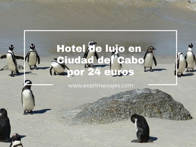 🇿🇦 HOTEL DE LUJO EN CIUDAD DEL CABO POR 24 EUROS