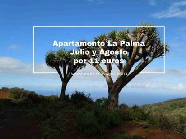 🇪🇸 APARTAMENTO LA PALMA JULIO Y AGOSTO POR 11 EUROS
