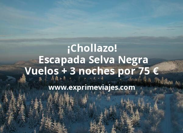 🧳 Escapada Selva Negra: Vuelos + 3 noches por 75 euros