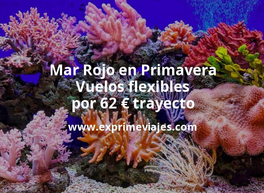 🇪🇬 Vuelos flexibles al Mar Rojo en Primavera por 62 euros trayecto