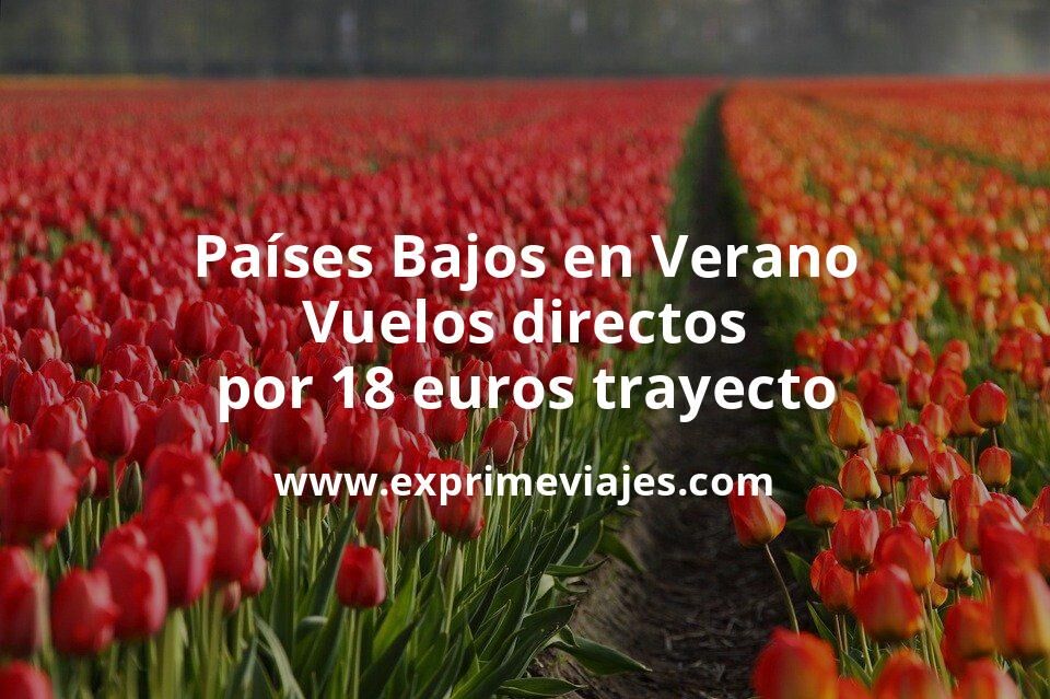 🇳🇱 Países Bajos en Verano: Vuelos directos por 18 euros trayecto