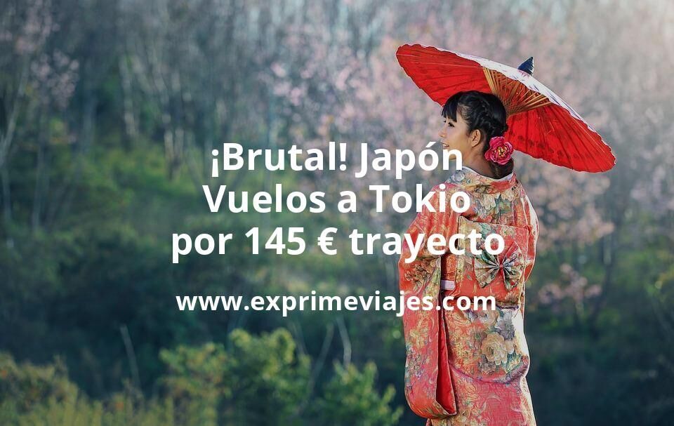 🇯🇵 Vuelos a Japón por 145 € trayecto