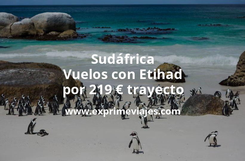 🇿🇦 Sudáfrica: Vuelos con Etihad por 219 euros trayecto