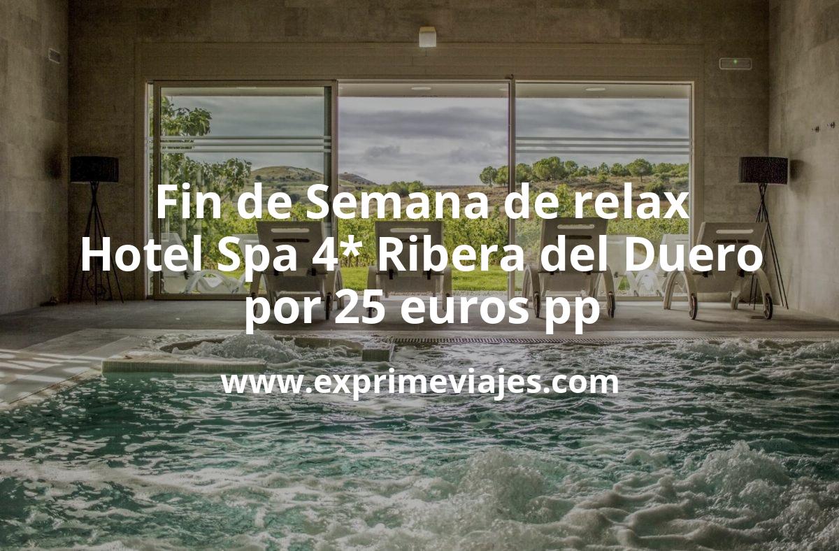 🧳 Fin de semana en Ribera del Duero: Hotel Spa 4* por 25 € p.p/noche
