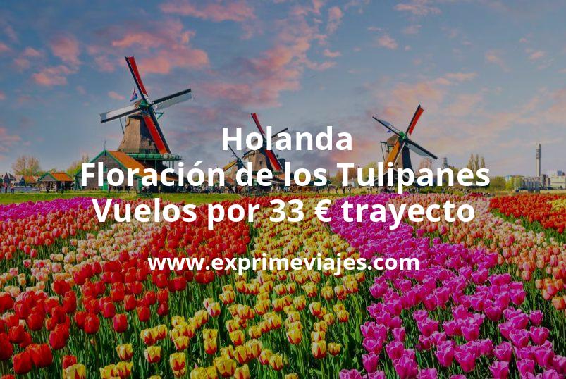 🇳🇱 Floración de los Tulipanes en Holanda: Vuelos por 33 euros trayecto
