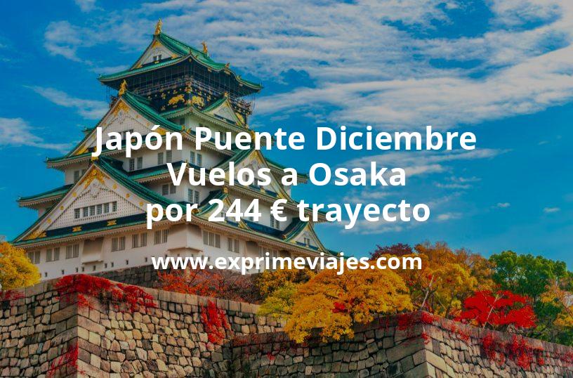 🇯🇵 Japón Puente Diciembre: Vuelos a Osaka por 244 euros trayecto