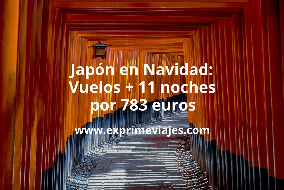 🇯🇵 Bombazo! Japón en Navidad: Vuelos + 11 noches por 783 euros