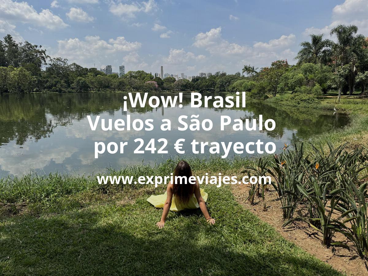 🇧🇷 Vuelos a Brasil por 242 € trayecto