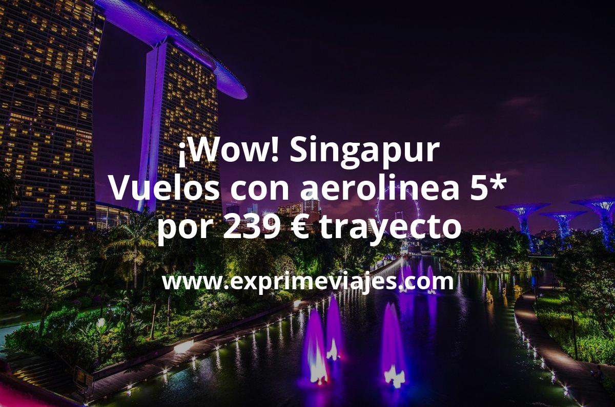 🇸🇬 Singapur: Vuelos 5* por 239 euros trayecto