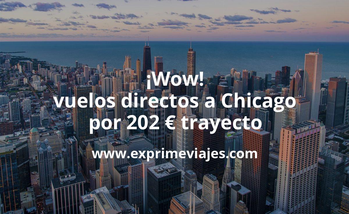 🇺🇸 Chicago: Vuelos directos por 202 euros trayecto