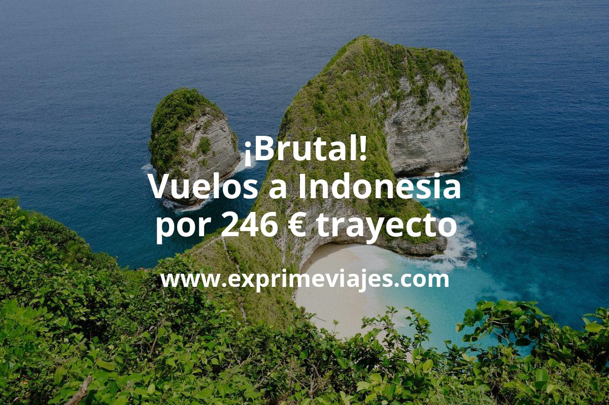 🇮🇩 Indonesia: Vuelos por 246 euros trayecto