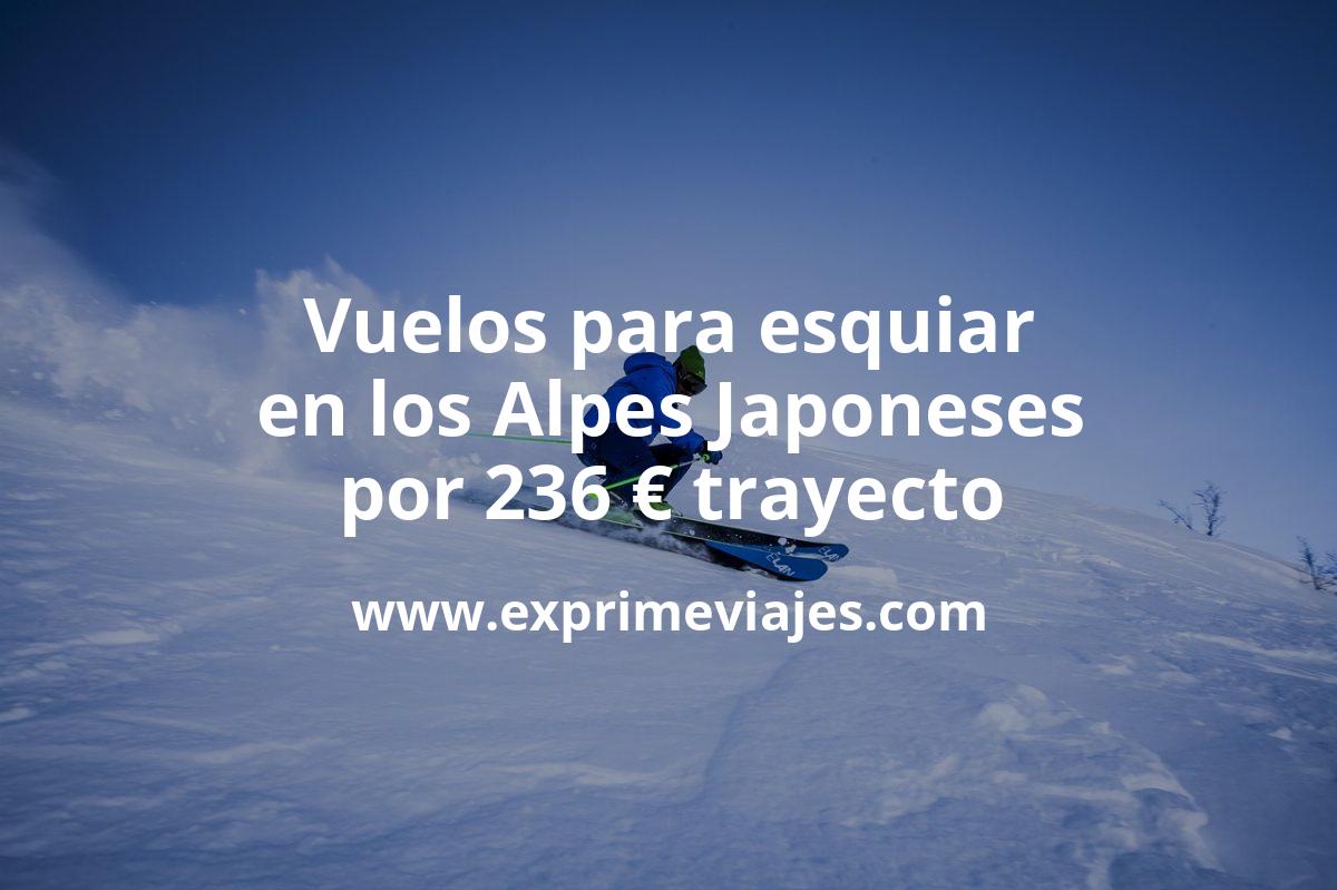 🇯🇵 Vuelos para esquiar en los Alpes Japoneses por 236 € trayecto