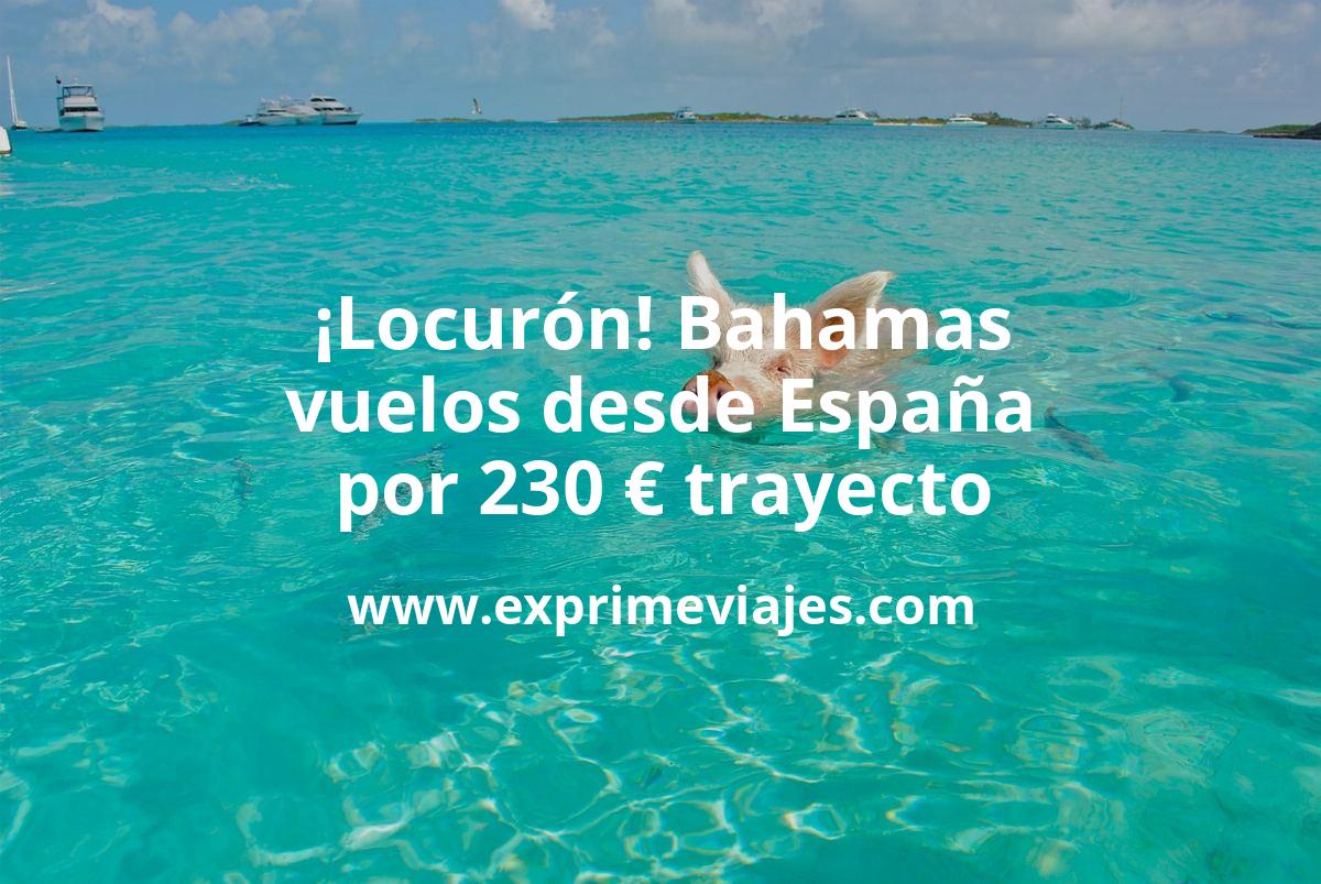 🇧🇸 Bahamas: Vuelos desde España por 230 euros trayecto