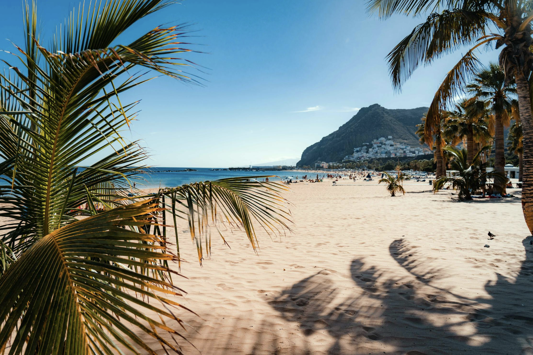🇪🇸 Tenerife: vuelos + 5 noches por 169 euros