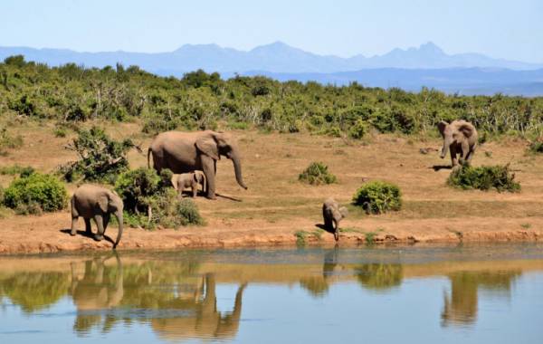 🇿🇦 Sudáfrica: vuelos a Johannesburgo por 463 euros ida y vuelta