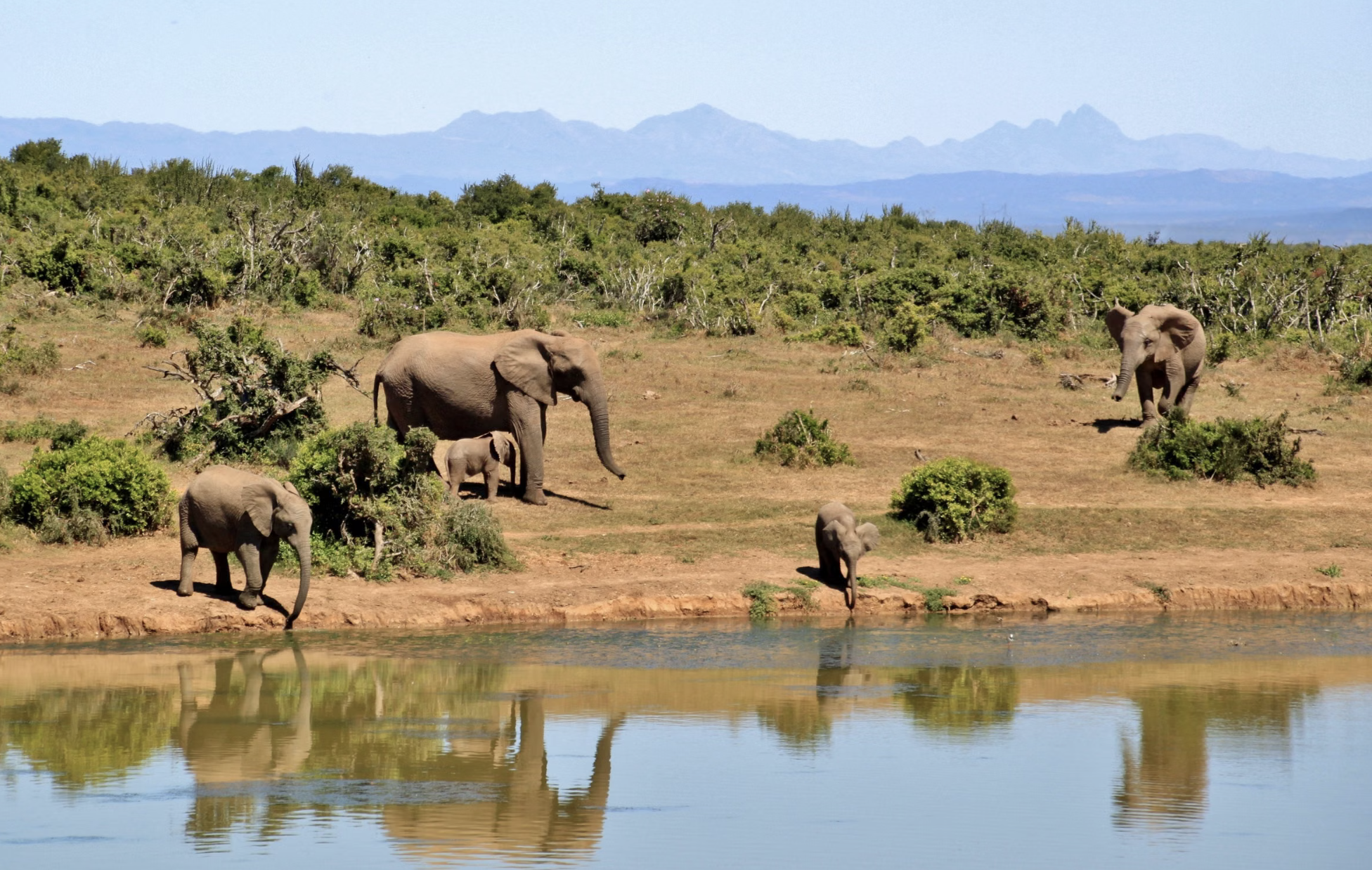 🇿🇦 Sudáfrica en verano: vuelos a Johannesburgo por 458 euros ida y vuelta