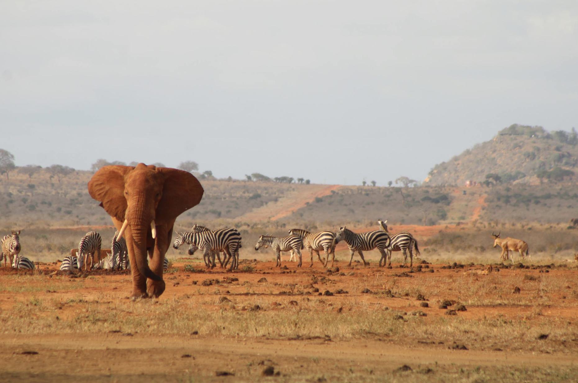 🇰🇪 Kenia en verano: vuelos a Nairobi por 546 euros ida y vuelta