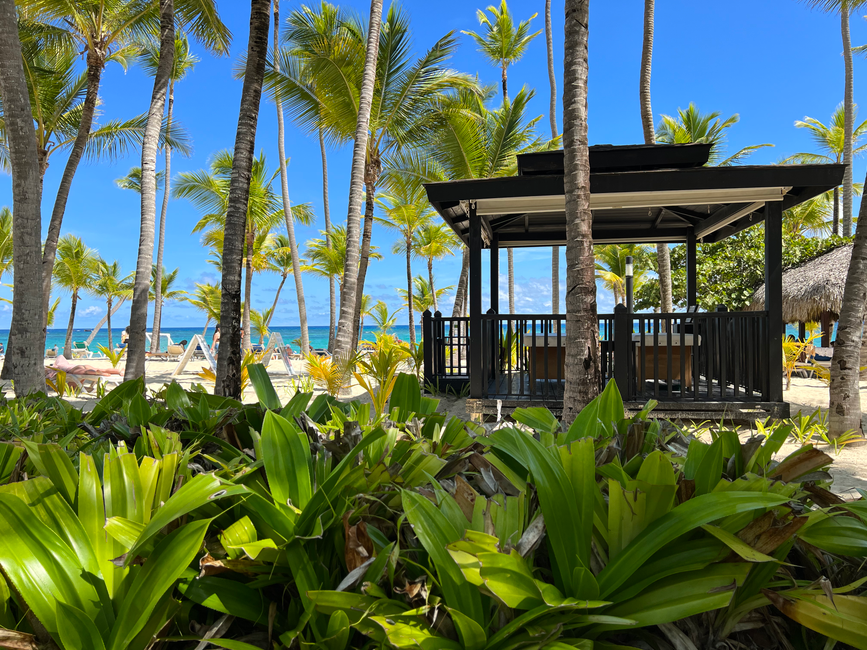 🇩🇴 República Dominicana en verano: vuelos a Punta Cana por 508 euros ida y vuelta
