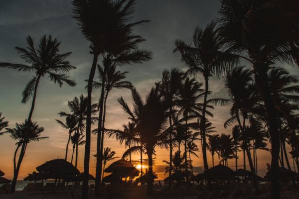 🇩🇴 República Dominicana: vuelos a Santo Domingo por 528 euros ida y vuelta